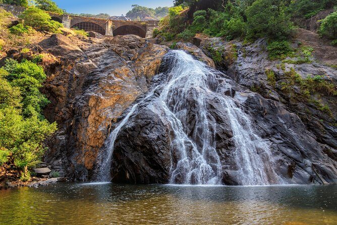 Day Trip to Mollem National Park Including Dudhsagar Falls and Jeep Safari from Goa - FAQs