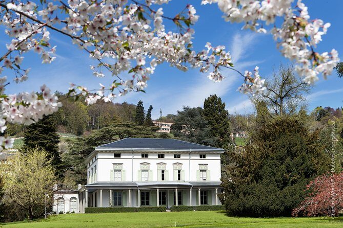 Day Trip to Montreux, Chaplin's World & Chillon Castle& apéritif - The Sum Up