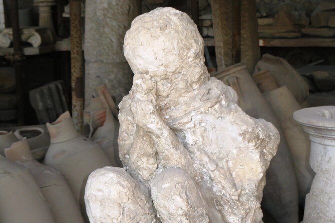 Day Trip to Mount Vesuvius & Pompeii Ruins from Rome - Private Tour - How the Tour Comes Together