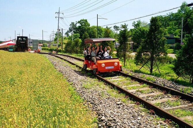 Day Trip to Nami Island with Rail bike and The Garden of Morning Calm - Practical Details and Value for Money