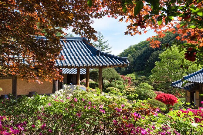 Day Trip to Nami Island with The Garden of Morning Calm - The Itinerary: What You Can Expect