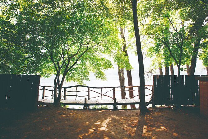 Day Trip to Nami Island with The Garden of Morning Calm - The Sum Up: Who Is This Tour Perfect For?