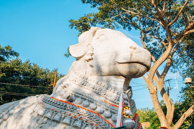 Day Trip to Nandi Hills (Guided Private Sightseeing Experience from Bangalore) - Authentic Insights from Reviews