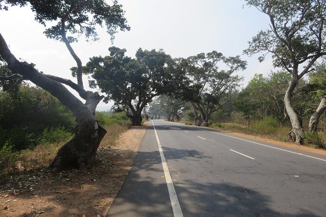 Day Trip to Nandi Hills (Guided Private Sightseeing Experience from Bangalore) - Final Thoughts