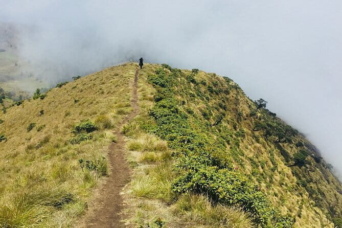 Day Trip to Nature Trails (Guided Private Sightseeing Experience from Bangalore) - A Deep Dive into the Experience