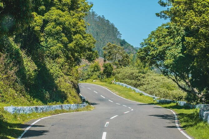 Day Trip to Nature Trails (Guided Private Sightseeing Experience from Bangalore) - Final Thoughts