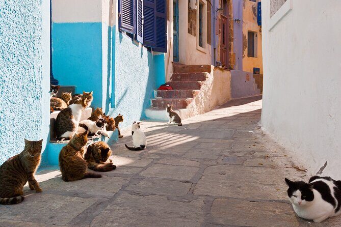 Day Trip to Nisyros Island - Who Should Consider This Tour?