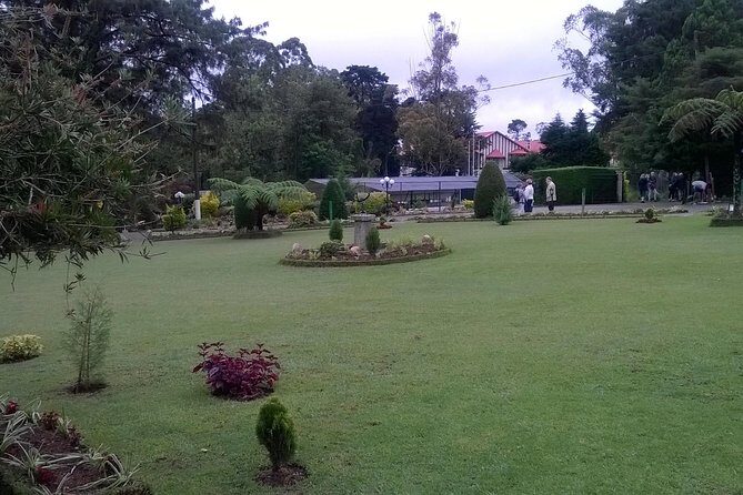 Day Trip to Nuwara eliya from Kandy - FAQs