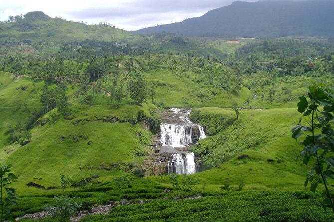 Day Trip to Nuwara Eliya with Kingfisher Tours - Practical Tips for Your Trip