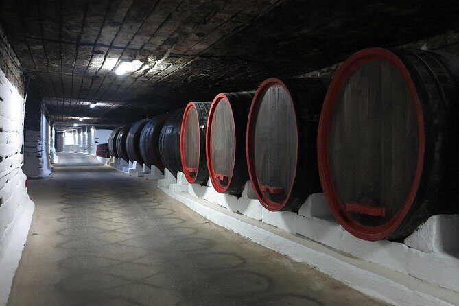 Day trip to Republic of Moldova - visit Chisinau and Cricova Winery - The Sum Up: Who Should Book This Tour?