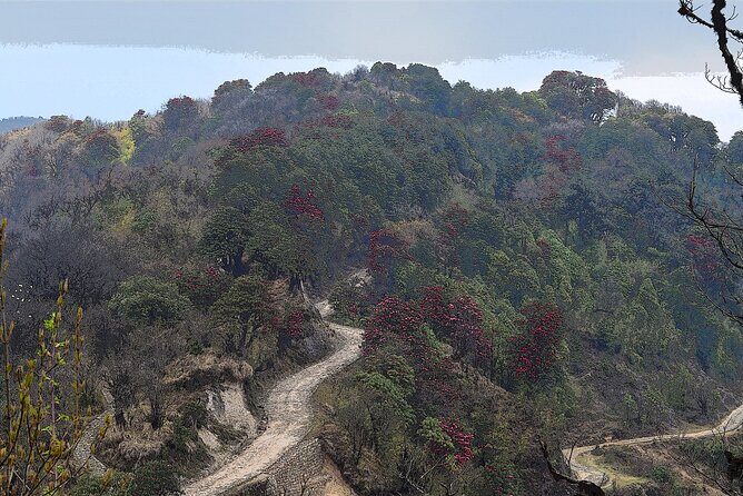 Day Trip to Singalila (Guided Private Sightseeing Experience from Darjeeling) - How the Tour Is Structured: From Darjeeling to Himalayan Heights