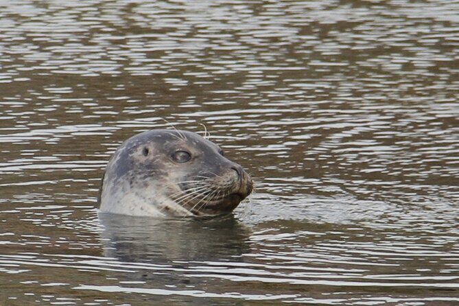 Day Trip to Snæfellsness Peninsula from Reykjavik - The Sum Up