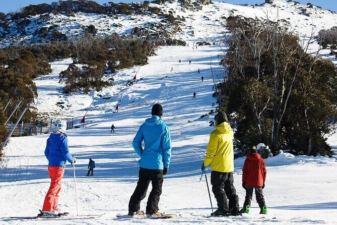 Day Trip To Snowy Mountains From Sydney - Authentic Reviews: What Others Say