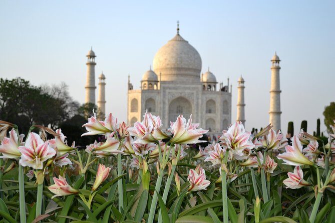 Day trip to Taj Mahal and Agra from Kochi with Return Flights - Who Is This Tour Best For?