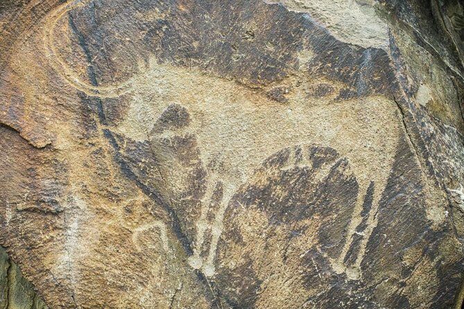 Day Trip to Tanbaly Petroglyphs - Detailed Review of the Tour Experience