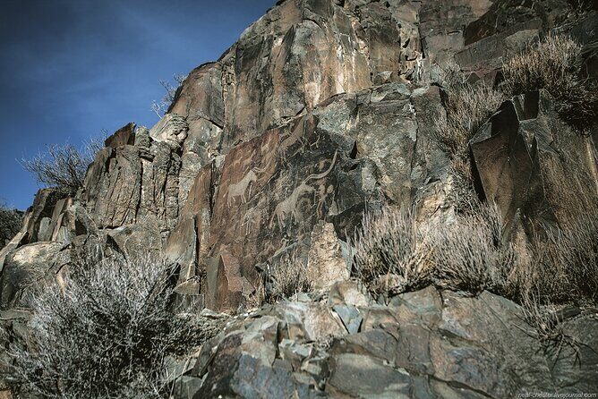 Day Trip to Tanbaly Petroglyphs - FAQ
