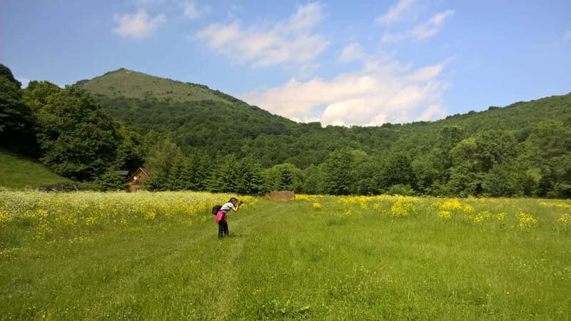 Day Trip to the Land of Hidden Caves - Exploring Romania’s Hidden Caves: A Complete Guide to the Land of Secrets