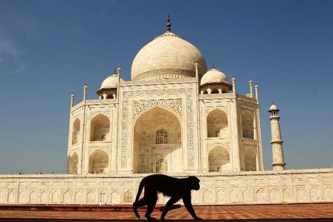 Day Trip to The Taj Mahal and Agra from Delhi by Train - Who This Tour Is Best Suited For