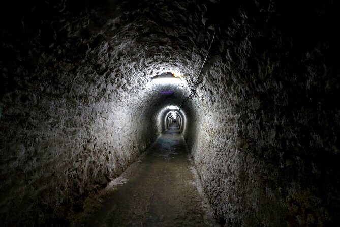 Day Trip to Turda Salt Mine and Corvin Castle from Timisoara - Potential Drawbacks and Considerations