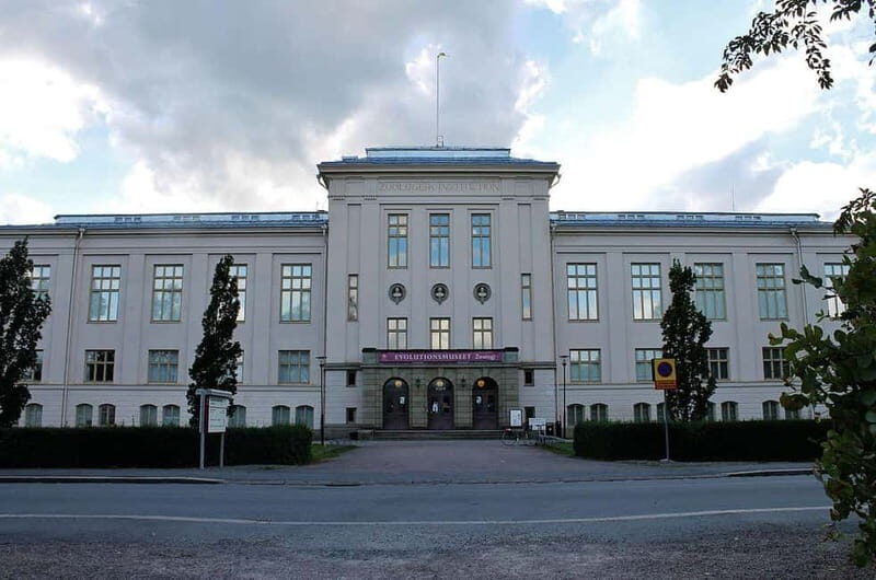 Day Trip to Uppsala - Who Should Consider This Tour?