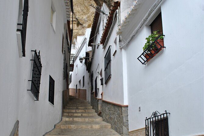 Day trip to Zahara, Setenil and Ronda from Seville - Who Should Consider This Tour?