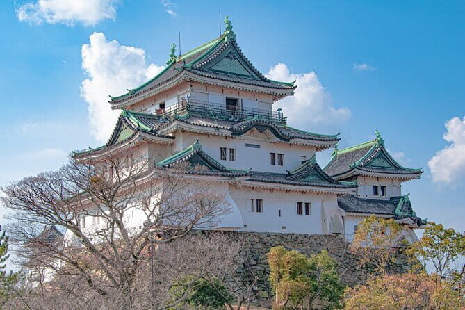 Day Trip Wakayama Tour from Osaka - Key Points
