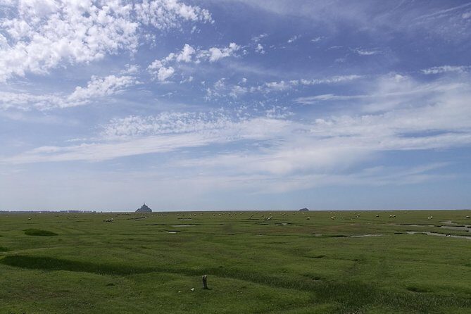 Day Trip with a local driver Mont Saint Michel from Saint Malo 6h - What’s Missing? The Guide and Inside Tours