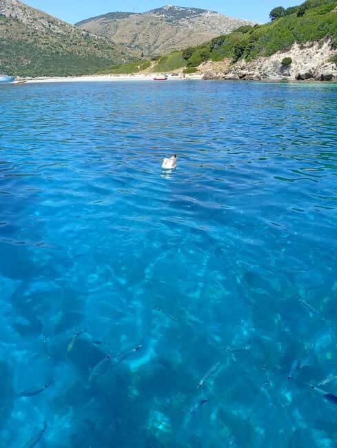 Day trips by dinghy to Capo Figari and Figarolo - FAQ