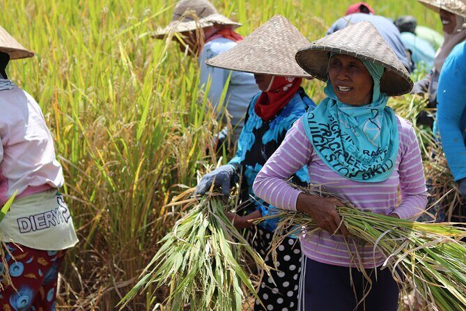 Day with a Balinese Family in a Village - Key Points
