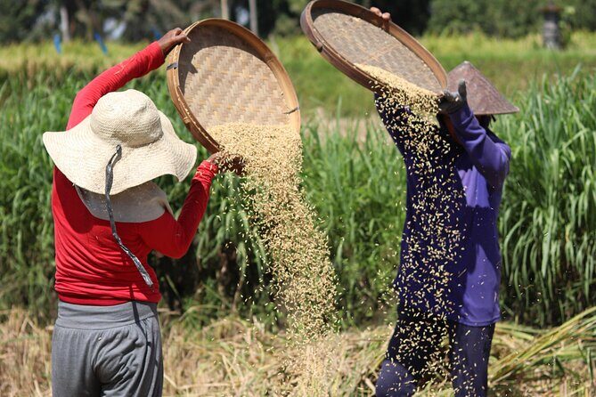 Day with a Balinese Family in a Village - Who Will Love This Tour?