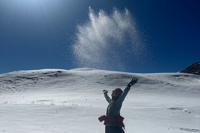 Dayara Bugyal and Surya Top Trek - Frequently Asked Questions