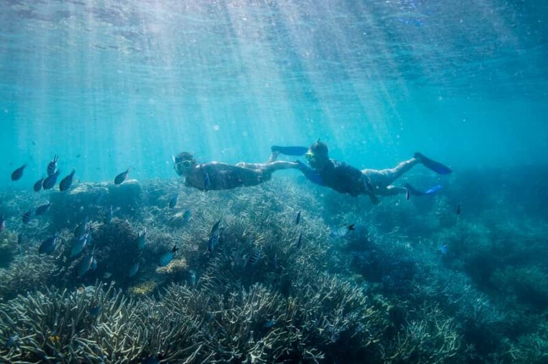 Daydream Island: Great Barrier Reef Adventure Cruise - Final Thoughts