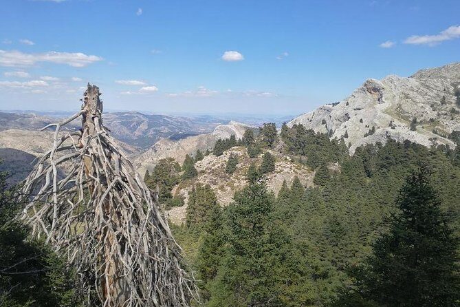 Dayhikes with pick-up from Marbella and Estepona - An Inside Look at the Experience