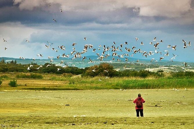 Dayhikes with pick-up from Marbella and Estepona - FAQ