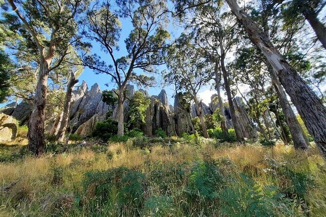 Daylesford Goldfields Track Walking and Wellness Experience - Key Points