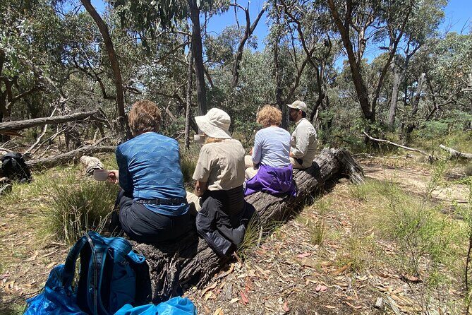 Daylesford Goldfields Track Walking and Wellness Experience - Authentic Experiences and Reviews