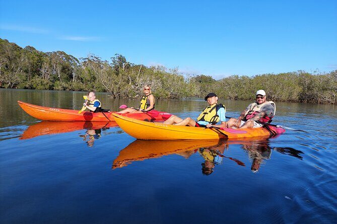 Daytime Kayak Eco Tour of New South Wales - Key Points