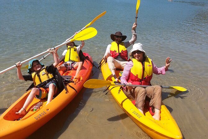 Daytime Kayak Eco Tour of New South Wales - Who Will Love This Tour?