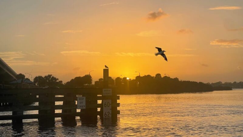 Daytona Beach: Small Group Champagne Sunset Cruise - Why This Tour Stands Out