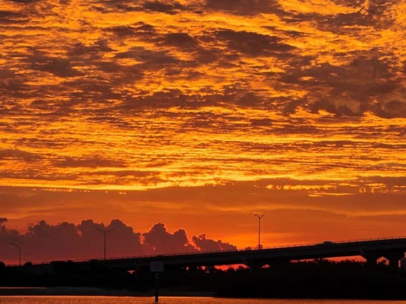 Daytona Beach: Sunset River Cruise with Dolphin Watching - An In-Depth Look at the Daytona Sunset River Cruise