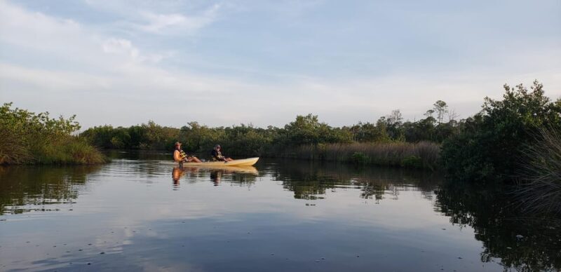 Daytona/New Smyrna Beach: Unforgettable Kayak Wildlife tours - Weather and Cancellation Policies