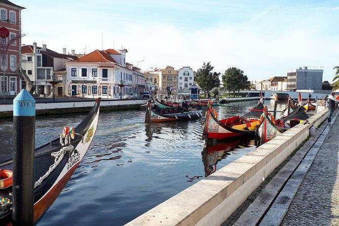 DayTrip Porto to Lisboa (optional visit to Aveiro_Coimbra_Fátima) Since 400eur - Key Points