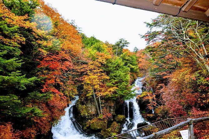 Daytrip to Nikko from Tokyo with local Japanese Photograher guide - The Experience: What Youll Love and What to Consider