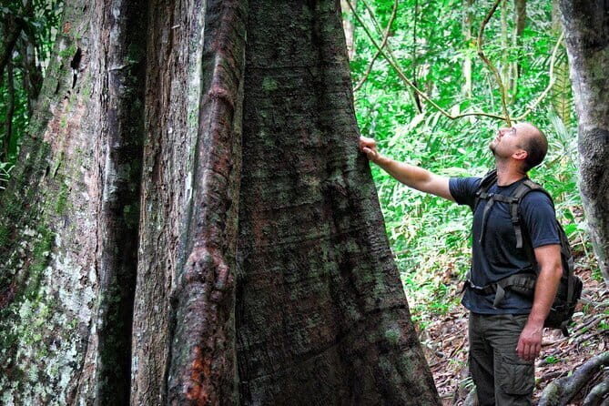 Daytrip to Taman Negara National Park With Teras Waterfall - Starting Early for a Full Day of Adventure
