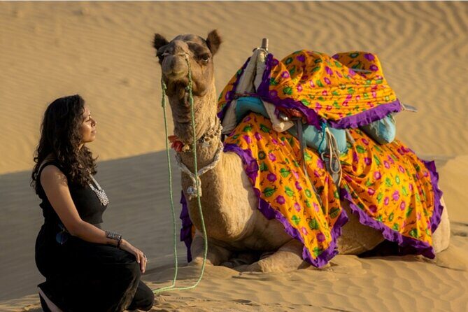 Dazzling Half Day Tour of Camel & Desert Safari with Sunset - Key Points
