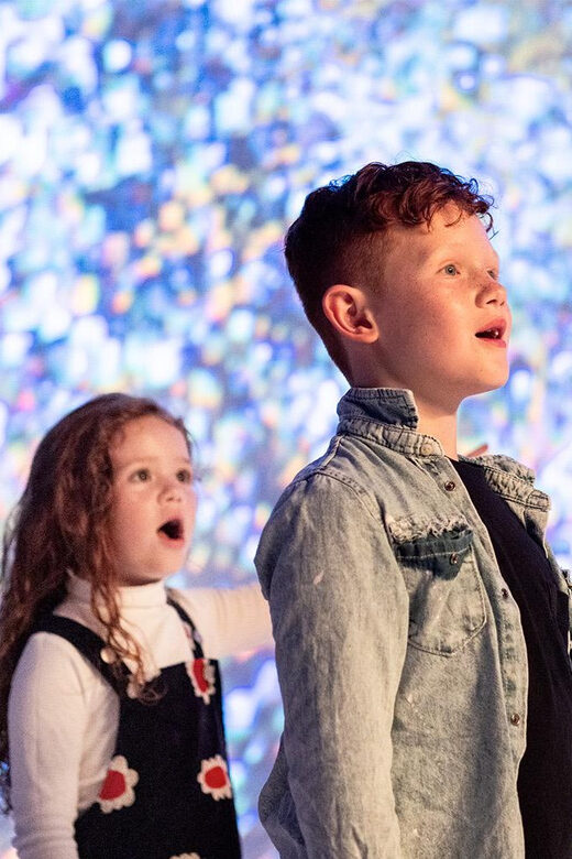 DC: All Creation Sings- Museum of the Bible Exhibition Entry - Who Will Love This Experience?