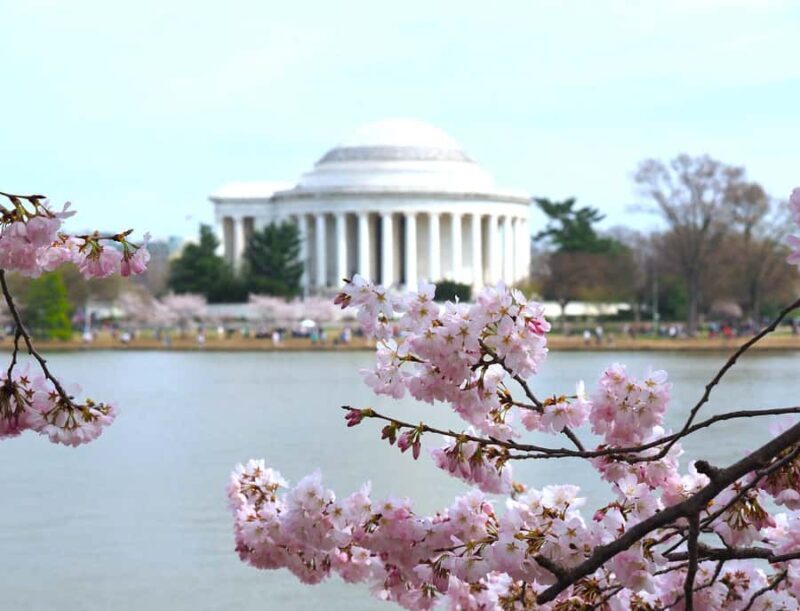 DC Cherry Blossom Guided Tour with Tidal Basin & Monuments - Practical Details: Transportation, Duration, and Tips