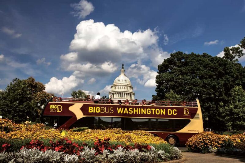 DC: Hop-on Hop-off, Night Tour, and Arlington Audio Guide - Final Thoughts