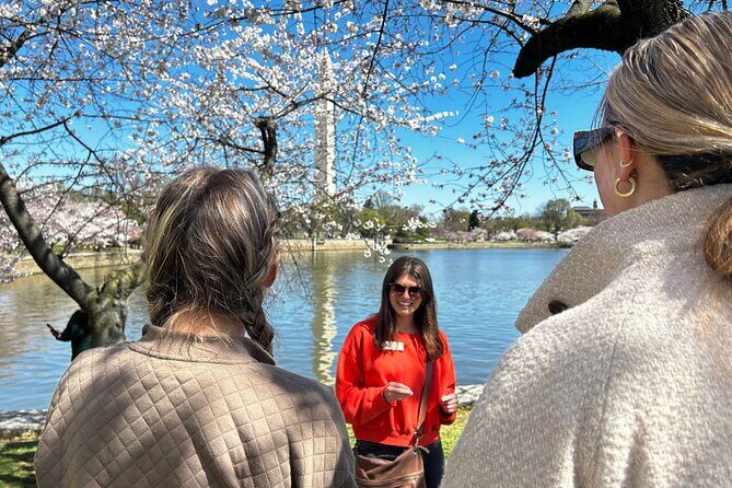 DC in Spring: Cherry Blossom & Tidal Basin Memorials Walking Tour - Key Points