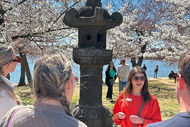DC in Spring: Cherry Blossom & Tidal Basin Memorials Walking Tour - An In-Depth Look at the Tour Itinerary